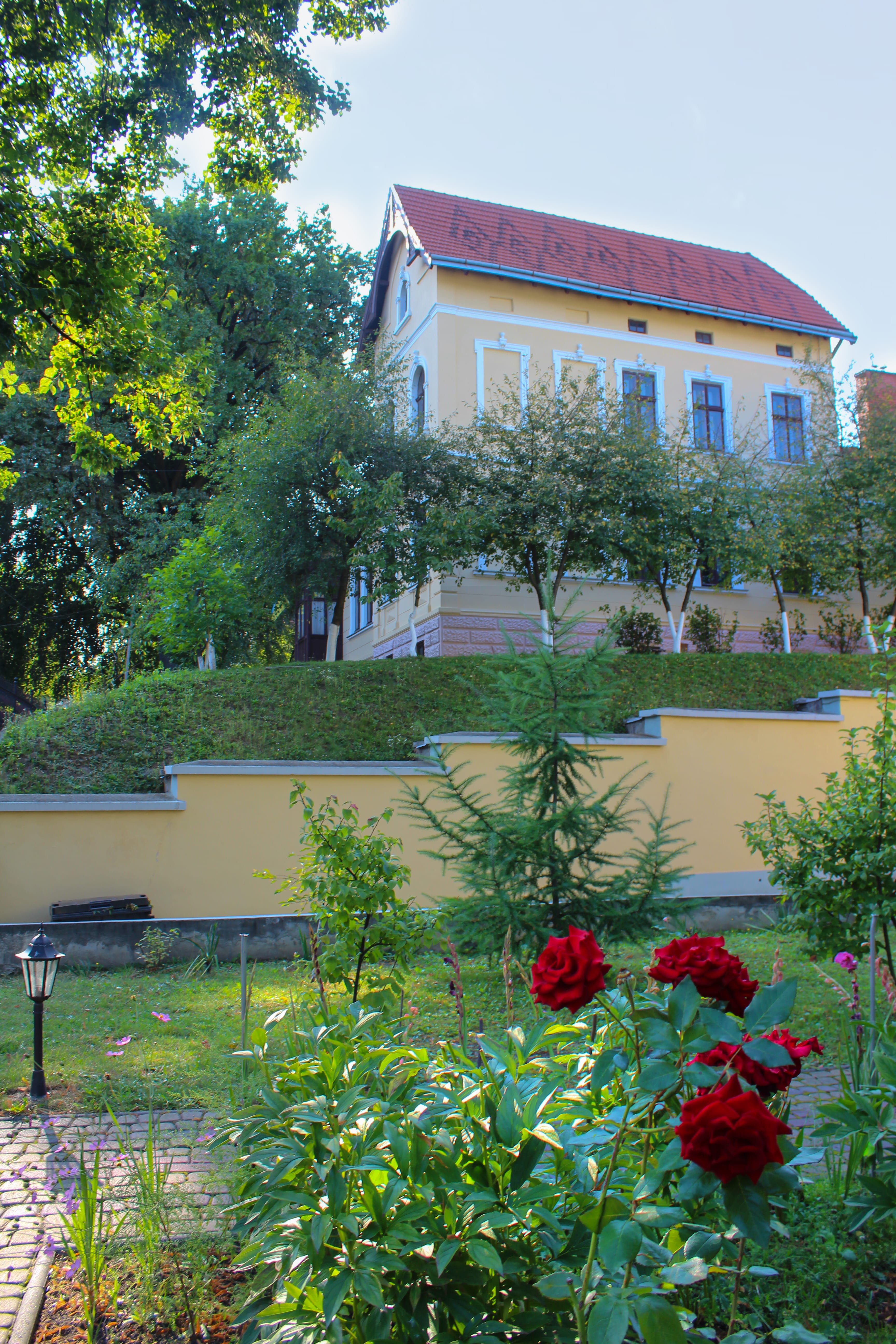 Вілла і червоні троянди